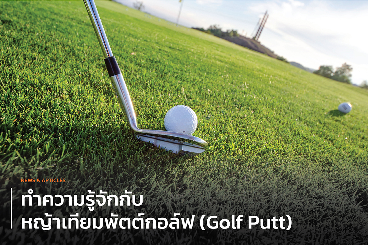 หญ้าเทียมพัตต์กอล์ฟ Golf putt