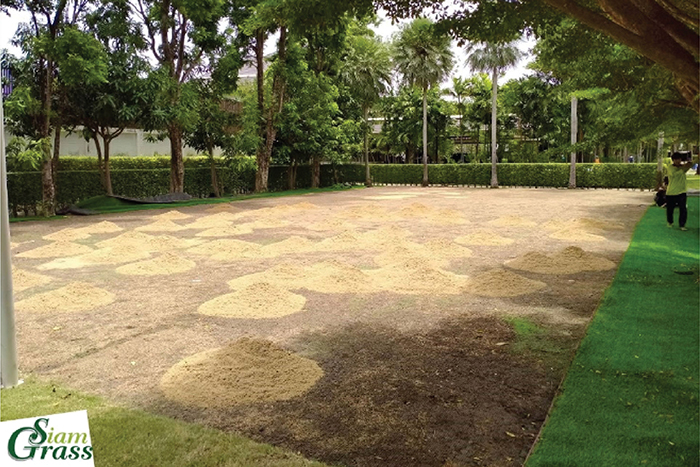 วิธีติดตั้งหญ้าเทียมบนพื้นดิน