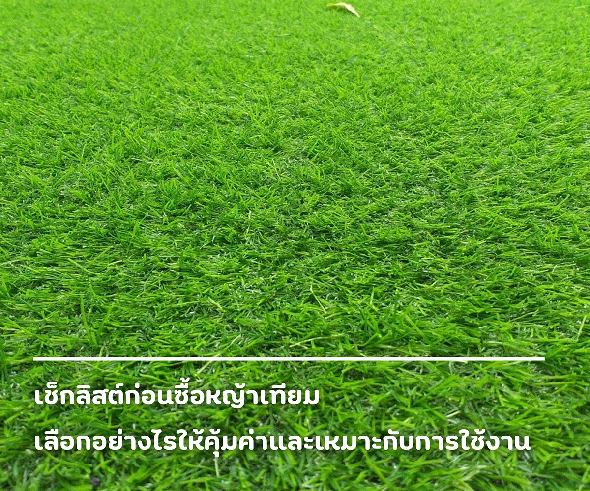 เช็กลิสต์ก่อนซื้อหญ้าเทียม เลือกอย่างไรให้คุ้มค่าและเหมาะกับการใช้งาน