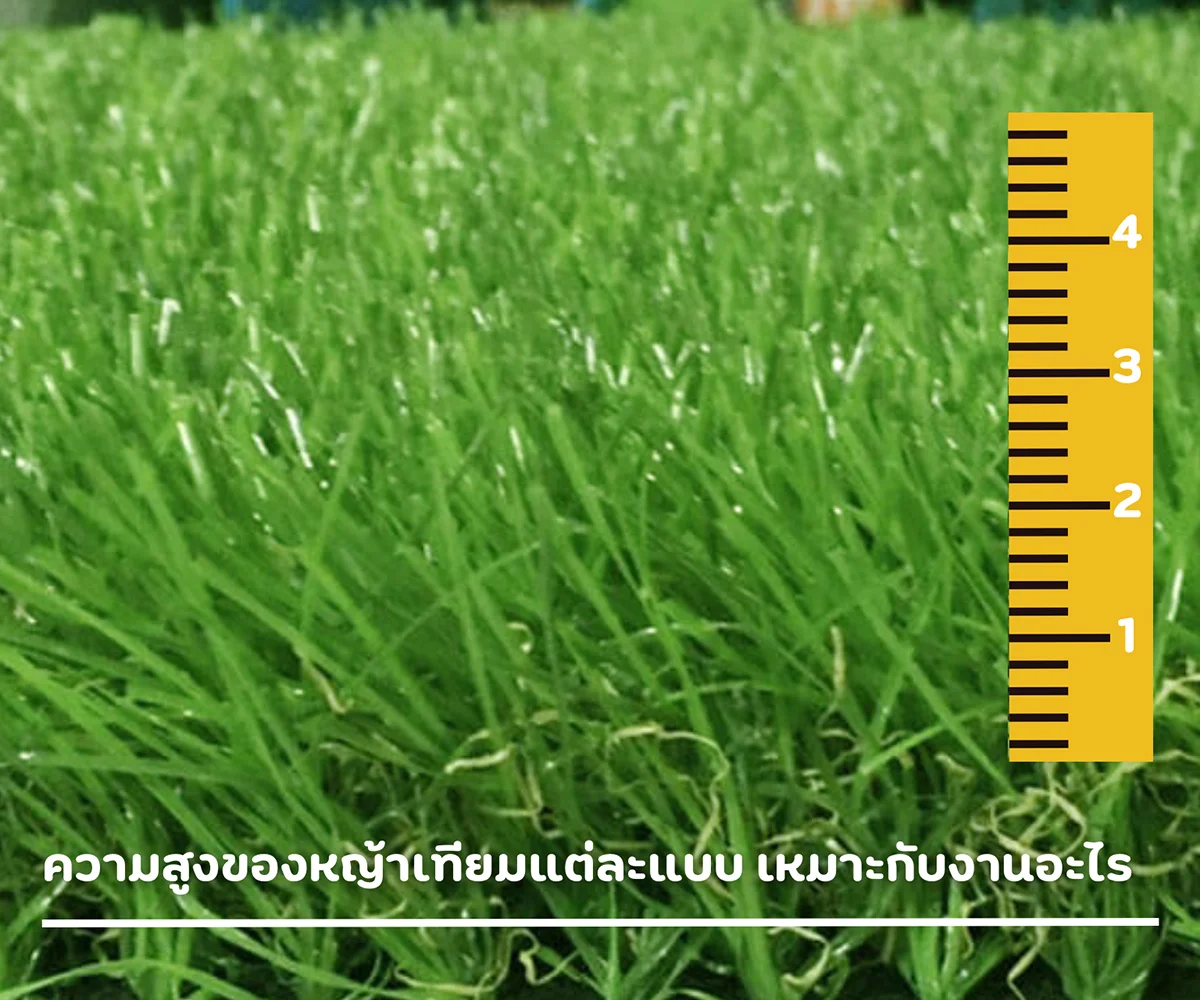 ความสูงของหญ้าเทียมแต่ละแบบ เหมาะกับงานอะไร
