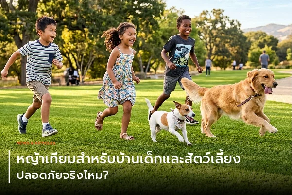 หญ้าเทียมสำหรับบ้านเด็กและสัตว์เลี้ยง ปลอดภัยจริงไหม?