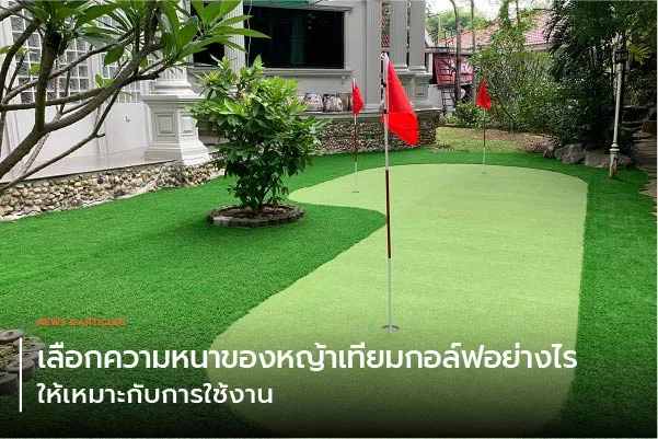 เลือกความหนาของหญ้าเทียมกอล์ฟอย่างไรให้เหมาะกับการใช้งาน