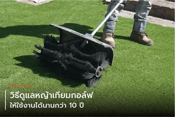 วิธีดูแลหญ้าเทียมกอล์ฟให้ใช้งานได้นานกว่า 10 ปี