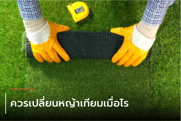 ควรเปลี่ยนหญ้าเทียมเมื่อไร